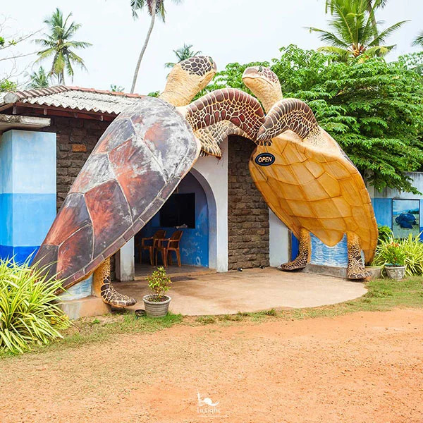 Giant turtle entrance at a turtle hatchery near Ahangama